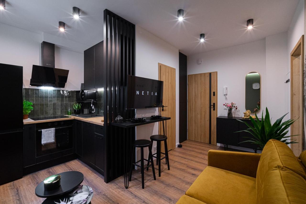 Apartment Freedom Akacjowa 17m1b Zielona Gora (Lubuskie)